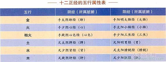 十二正經(jīng)的五行屬性表