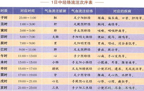 時辰與臟腑經絡氣血流注的對應圖