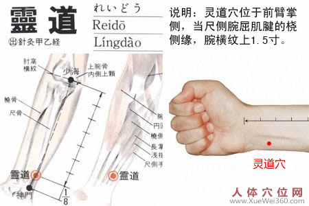 靈道穴的準(zhǔn)確位置圖