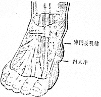 內(nèi)太沖穴