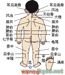 <a href=http://tipstogelterpercaya.com/rentixuewei/jingluoxuewei/2012-04-25/865.html target=_blank class=infotextkey>肺俞穴</a>