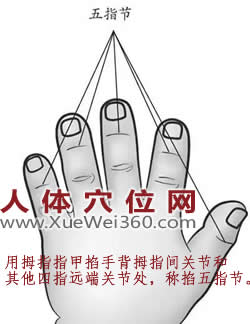 掐揉五指節(jié)的準(zhǔn)確位置圖