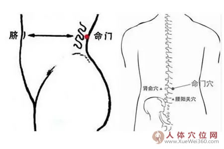 命門穴