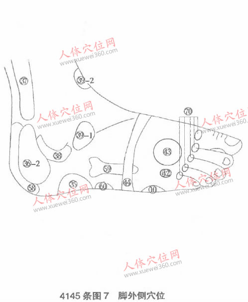 腳外側(cè)部位穴位圖