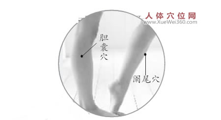 膽囊穴、闌尾穴