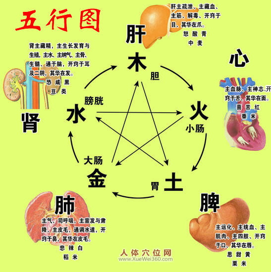 簡(jiǎn)單易懂的五臟養(yǎng)生竅門(mén)，實(shí)用！